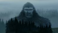 The Nature of Bigfoot