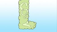 Don't Be a Carbon Sasquatch