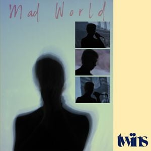 Mad World (instrumental)