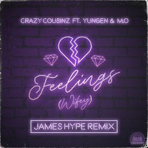 Feelings (Wifey) (James Hype remix)