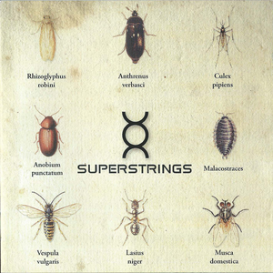 Superstrings