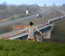 image-https://media.senscritique.com/media/000019562179/0/la_grace_du_sillon.jpg