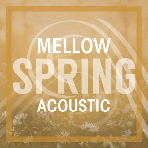 Mellow Spring Acoustic