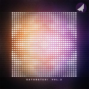 SATURATED! VOL. 2