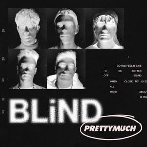 Blind (acoustic)