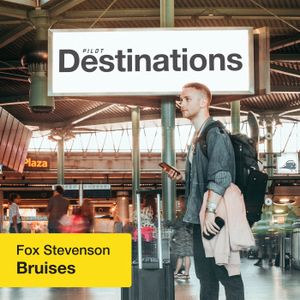 Bruises (Single)