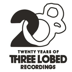 Three Lobed Recordings at 20: An Overview