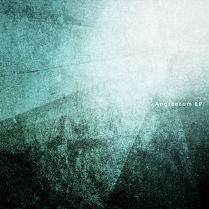 Angraecum EP (EP)