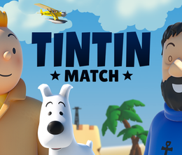 image-https://media.senscritique.com/media/000019576920/0/Tintin_Match_3.png