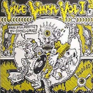 Vile Vinyl, Volume 1: Rare, Wild, Primitive Mid-Sixties Garage