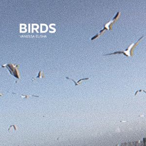 BIRDS (Single)