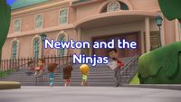 Newton and the Ninjas