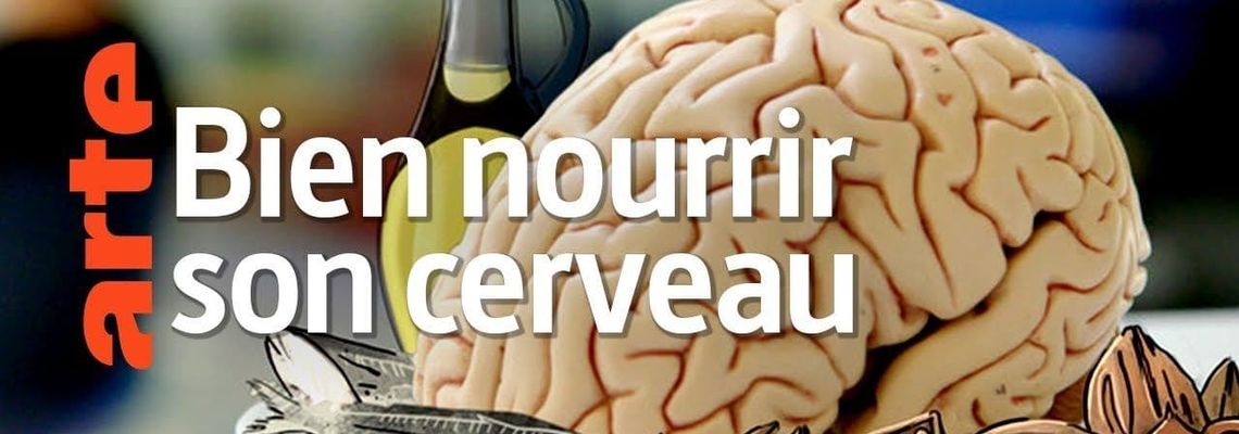 Cover Bien nourrir son cerveau