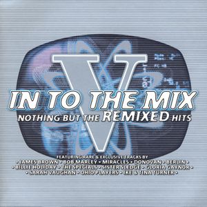 Into the Mix V: Nothing but the Remixed Hits