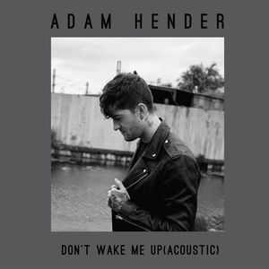 Don’t Wake Me Up (acoustic) (Single)