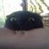 Avatar Nio_Lynes Avatar Nio_Lynes