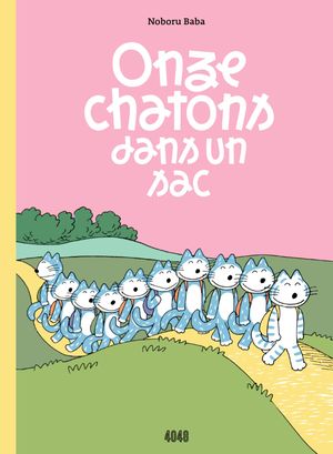 Onze chatons dans un sac