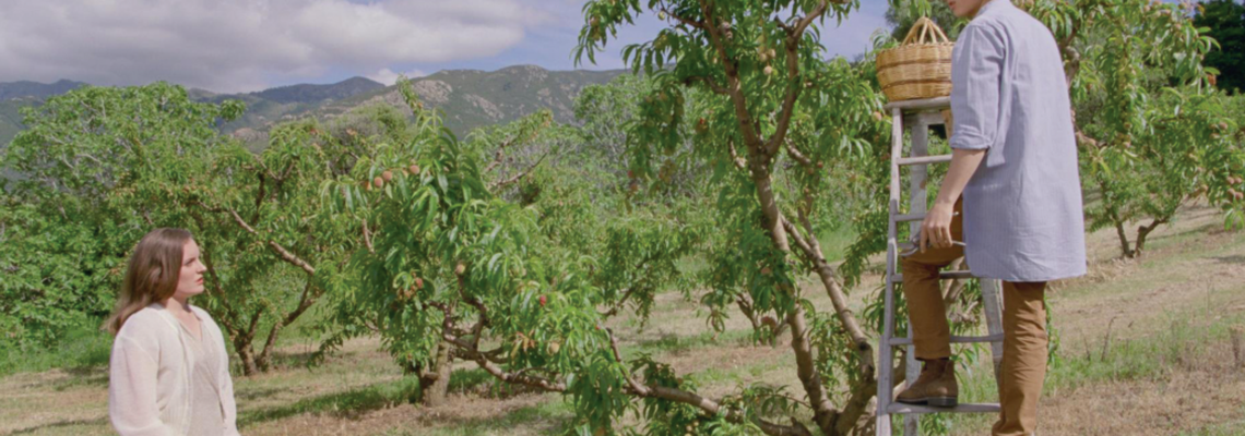 Cover Atarrabi et Mikelats