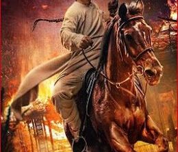 image-https://media.senscritique.com/media/000019585817/0/wong_fei_hung_return_of_the_king.jpg