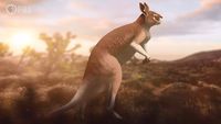 How Ancient Art Captured Australian Megafauna