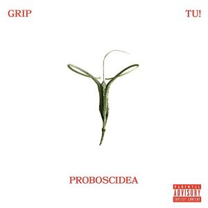 PROBOSCIDEA (EP)