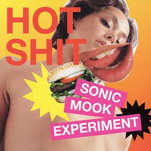 Sonic Mook Experiment 3: Hot Shit