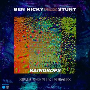 Raindrops (Sub Sonik remix)