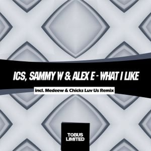 What I Like (Medeew & Chicks Luv Us Mix)