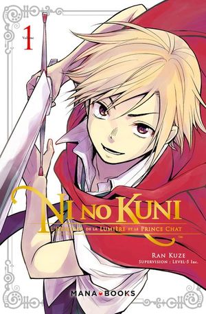 Ni no Kuni : L'Héritier de la lumière et le prince chat, tome 1