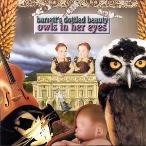 Owls in Her Eyes