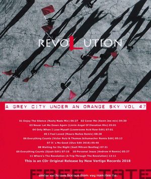 A Grey City Under an Orange Sky 47: Revolution