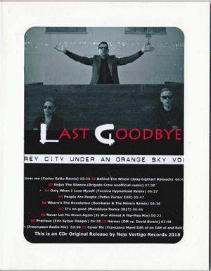 A Grey City Under an Orange Sky 46: Last Goodbye