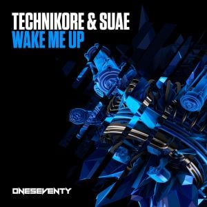Wake Me Up (radio edit)