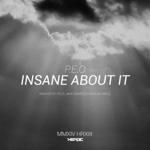 Insane About It (Nicolas Haelg remix)