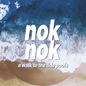 A Walk to the Tide Pools (Single)