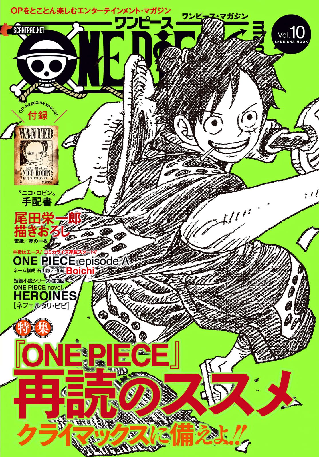 One Piece Ace S Story Boichi Et Ryo Ishiyama Senscritique