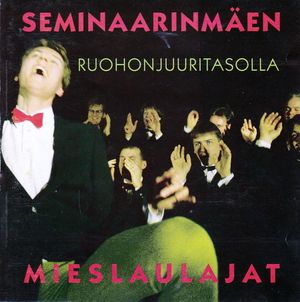 Ruohonjuuritasolla