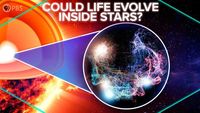 Could Life Evolve Inside Stars?