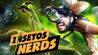 What is the nerdest insect?