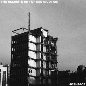 The Delicate Art of Destruction (EP)