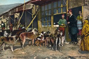 Vent, porte ma voix : Une histoire moderne d'exil