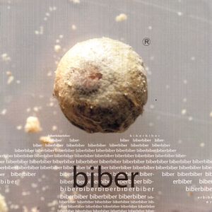 Biber