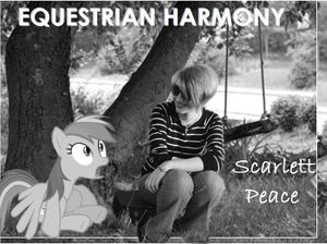 Equestrian Harmony