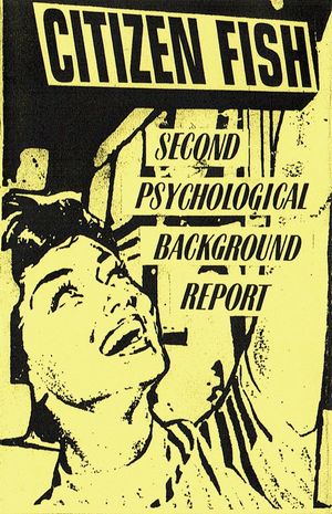 Second Psychological Background Report