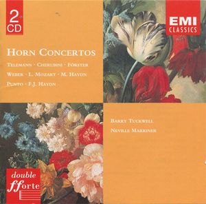 Horn Concerto in E flat: I. Con discrezione