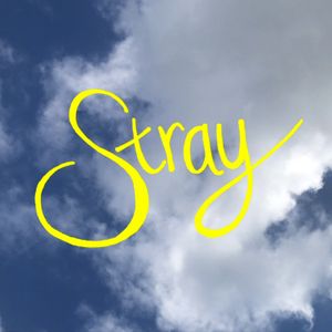 Stray (Single)