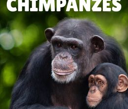 image-https://media.senscritique.com/media/000019629597/0/rencontre_avec_les_chimpanzes.jpg