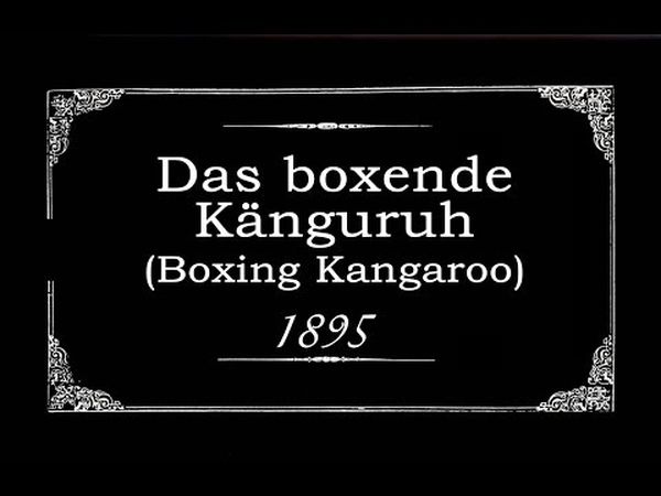 Das boxende Känguruh