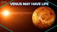 Venus May Have Life!
