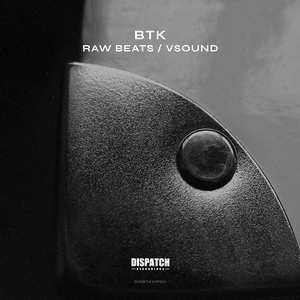 Raw Beats / VSound (Single)